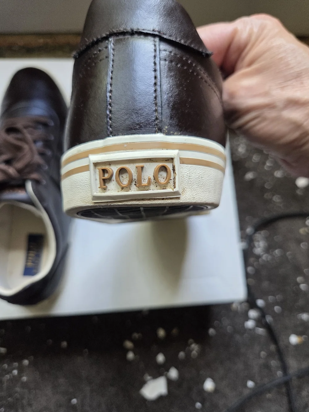 Polo by Ralph Lauren Brown Leather Sneakers with White Soles